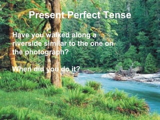 Present Perfect Tense Have you walked along a riverside similar to the one on the photograph?  When did you do it? 