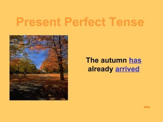 Present Perfect Tense 
The autumn has 
already arrived 
RVA 
 