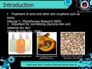 Present Project | PPT