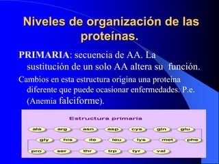 Niveles de organización de las
           proteínas.
PRIMARIA: secuencia de AA. La
 sustitución de un solo AA altera su fu...
