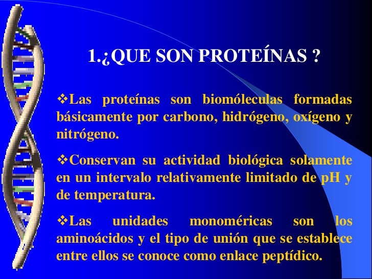 La proteina ayuda a definir La proteina ayuda a definir