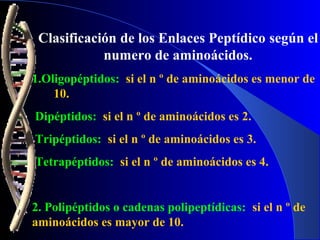 Clasificación de los Enlaces Peptídico según el
            numero de aminoácidos.
1.Oligopéptidos: si el n º de aminoácidos es menor de
    10.
Dipéptidos: si el n º de aminoácidos es 2.
Tripéptidos: si el n º de aminoácidos es 3.
Tetrapéptidos: si el n º de aminoácidos es 4.


2. Polipéptidos o cadenas polipeptídicas: si el n º de
aminoácidos es mayor de 10.
 