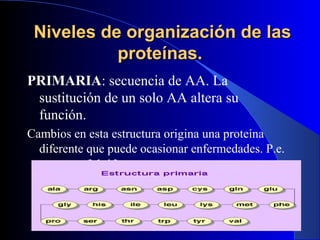 Niveles de organización de las
           proteínas.
PRIMARIA: secuencia de AA. La
 sustitución de un solo AA altera su
 función.
Cambios en esta estructura origina una proteína
  diferente que puede ocasionar enfermedades. P.e.
  (Anemia falciforme).
 