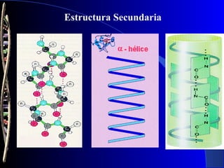 Estructura Secundaria
 