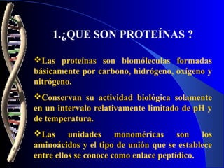 1.¿QUE SON PROTEÍNAS ?

Las proteínas son biomóleculas formadas
básicamente por carbono, hidrógeno, oxígeno y
nitrógeno.
Conservan su actividad biológica solamente
en un intervalo relativamente limitado de pH y
de temperatura.
Las unidades monoméricas son los
aminoácidos y el tipo de unión que se establece
entre ellos se conoce como enlace peptídico.
 