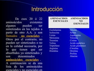 Introducción
        De esos 20 ó 22         AMINOACIDOS    AMINOACIDOS
                                  ESENCIALES         NO
aminoácidos        existentes                    ESENCIALES
algunos      pueden       ser
sintetizados en los tejidos a   Fenilalanina   Glisina
partir de otro A.A. y son       Isoleucina     Serina
llamados no esenciales .        Lisina         Asparagina
                                Metionina      Tirosina
Otros por el contrario, no      Treonina       Cistina
pueden ser sintetizados o no    Valina         Acido aspártico
en la calidad necesaria, por    Triptófano     Acido glutámico
                                Arginina       Citrulina
lo que tienen que ser           Histidina      Ornitina
absorbidos ya sintetizados y                   Prolina
son       denominados                          Alanina
aminoácidos esenciales .
A continuación se da una
lista de los aminoácidos
esenciales y no esenciales en
 