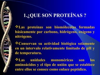 1.¿QUE SON PROTEÍNAS ?

Las proteínas son biomóleculas formadas
básicamente por carbono, hidrógeno, oxígeno y
nitrógeno.
...