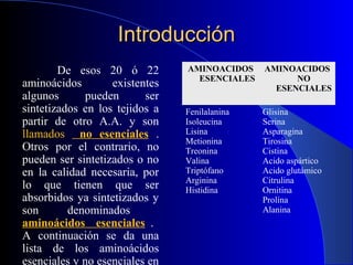 Introducción
        De esos 20 ó 22         AMINOACIDOS    AMINOACIDOS
                                  ESENCIALES      ...