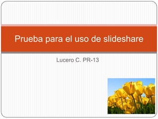 Prueba para el uso de slideshare

          Lucero C. PR-13
 