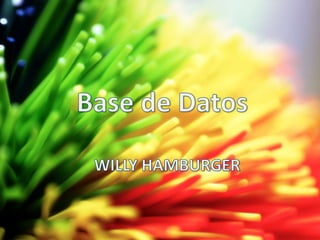 Base de Datos WILLY HAMBURGER 
