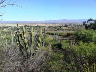 Lugares Colinas de Aby