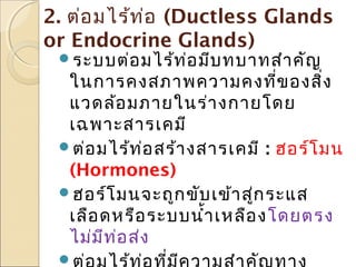 2. ต่อ มไร้ท ่อ (Ductless Glands
or Endocrine Glands)
ระบบต่อ มไร้ท ่อ มีบ ทบาทสำา คัญ

ในการคงสภาพความคงที่ข องสิ่ง
แวดล้อ มภายในร่า งกายโดย
เฉพาะสารเคมี
ต่อ มไร้ท ่อ สร้า งสารเคมี : ฮอร์โ มน
(Hormones)
ฮอร์โ มนจะถูก ขับ เข้า สูก ระแส
่
เลือ ดหรือ ระบบนำ้า เหลือ ง โดยตรง
ไม่ม ีท ่อ ส่ง


 