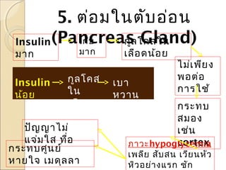 5. ต่อ มในตับ อ่อ น
เก็บ
กูล Gland)
Insulin (Pancreas โคสใน
มาก

มาก

กูล โคส
ใน
เลือ ด
มาก
ปัญ ญาไม่
แจ่ม ใส ทื่อ
กระทบศูน ย์
หายใจ เมดุล ลา
Insulin
น้อ ย

เลือ ดน้อ ย

เบา
หวาน

ไม่เ พีย ง
พอต่อ
การใช้

กระทบ
สมอง
เช่น
cortex
ภาวะhypoglycemia

เพลีย สับ สน เวีย นหัว
หิว อย่า งแรก ชัก

 