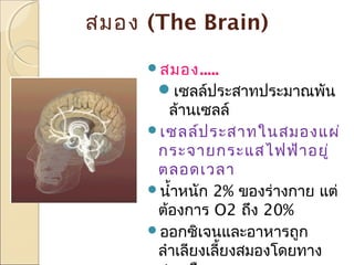 สมอง (The Brain)
สมอง.....

เซลล์ประสาทประมาณพัน
ล้านเซลล์
เซลล์ป ระสาทในสมองแผ่
กระจายกระแสไฟฟ้า อยู่
ตลอดเวลา
นำ้าหนัก 2% ของร่างกาย แต่
ต้องการ O2 ถึง 20%
ออกซิเจนและอาหารถูก
ลำาเลียงเลี้ยงสมองโดยทาง

 