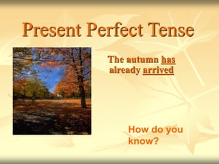 Present Perfect Tense
The autumn has
already arrived
How do you
know?
 