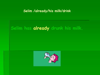 Selim /already/his milk/drink
Selim has already drunk his milk.
 
