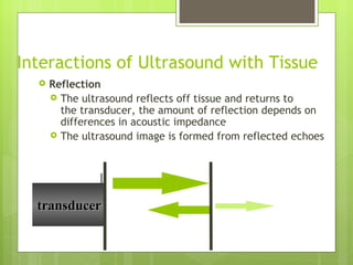Physic Of Ultrasound