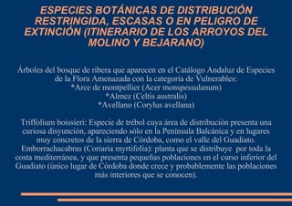 ESPECIES BOTÁNICAS DE DISTRIBUCIÓN RESTRINGIDA, ESCASAS O EN PELIGRO DE EXTINCIÓN (ITINERARIO DE LOS ARROYOS DEL MOLINO Y BEJARANO)‏ Árboles del bosque de ribera que aparecen en el Catálogo Andaluz de Especies de la Flora Amenazada con la categoría de Vulnerables: *Arce de montpellier (Acer monspessulanum)‏ *Almez (Celtis australis)‏ *Avellano (Corylus avellana)‏ Triffolium boissieri: Especie de trébol cuya área de distribución presenta una curiosa disyunción, apareciendo sólo en la Península Balcánica y en lugares muy concretos de la sierra de Córdoba, como el valle del Guadiato. Emborrachacabras (Coriaria myrtifolia): planta que se distribuye  por toda la costa mediterránea, y que presenta pequeñas poblaciones en el curso inferior del Guadiato (único lugar de Córdoba donde crece y probablemente las poblaciones más interiores que se conocen). 