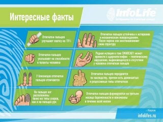 Презентация компании InfoLife