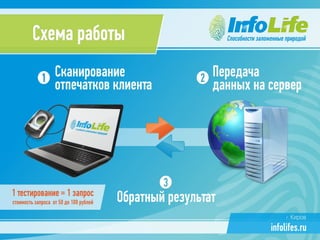 Презентация компании InfoLife