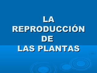 LALA
REPRODUCCIÓNREPRODUCCIÓN
DEDE
LAS PLANTASLAS PLANTAS
 