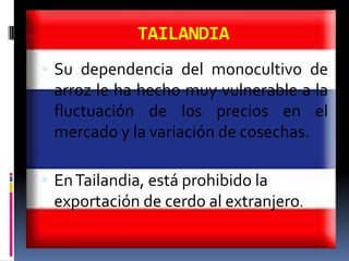 TAILANDIA
 Su dependencia del monocultivo de
 arroz le ha hecho muy vulnerable a la
 fluctuación de los precios en el
 mercado y la variación de cosechas.

 En Tailandia, está prohibido la
 exportación de cerdo al extranjero.
 