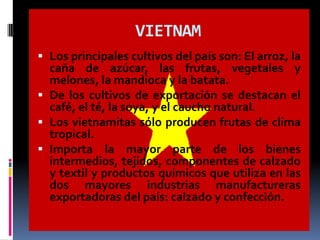 VIETNAM
 Los principales cultivos del país son: El arroz, la
  caña de azúcar, las frutas, vegetales y
  melones, la mandioca y la batata.
 De los cultivos de exportación se destacan el
  café, el té, la soya, y el caucho natural.
 Los vietnamitas sólo producen frutas de clima
  tropical.
 Importa la mayor parte de los bienes
  intermedios, tejidos, componentes de calzado
  y textil y productos químicos que utiliza en las
  dos mayores industrias manufactureras
  exportadoras del país: calzado y confección.
 