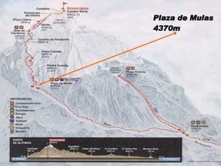 Plaza de Mulas 4370m 
