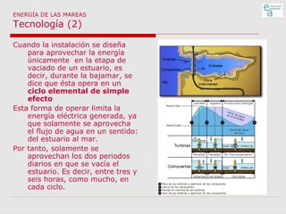 ENERGÍA DE LAS MAREAS

Tecnología (2)

Cuando la instalación se diseña
para aprovechar la energía
únicamente en la etapa de
vaciado de un estuario, es
decir, durante la bajamar, se
dice que ésta opera en un
ciclo elemental de simple
efecto
Esta forma de operar limita la
energía eléctrica generada, ya
que solamente se aprovecha
el flujo de agua en un sentido:
del estuario al mar.
Por tanto, solamente se
aprovechan los dos periodos
diarios en que se vacía el
estuario. Es decir, entre tres y
seis horas, como mucho, en
cada ciclo.

 