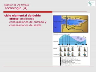 ENERGÍA DE LAS MAREAS

Tecnología (4)

ciclo elemental de doble
efecto empleando
canalizaciones de entrada y
canalizaciones de salida.

 