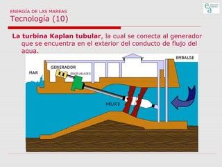 ENERGÍA DE LAS MAREAS

Tecnología (10)
La turbina Kaplan tubular, la cual se conecta al generador
que se encuentra en el exterior del conducto de flujo del
agua.

 