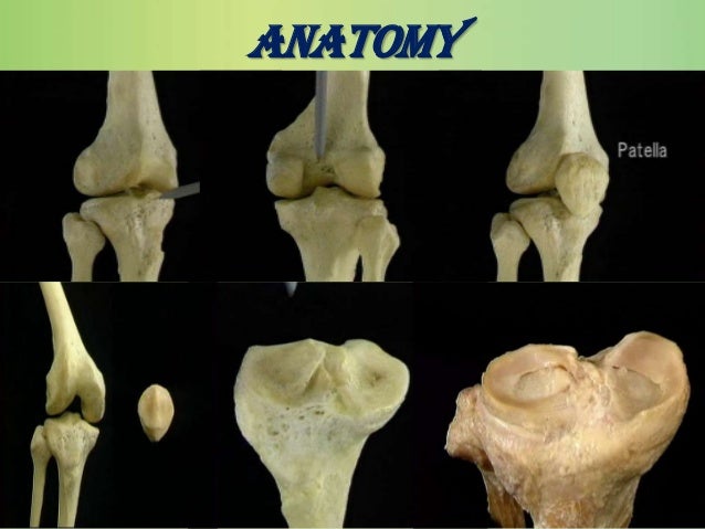 ACL rehabilitation