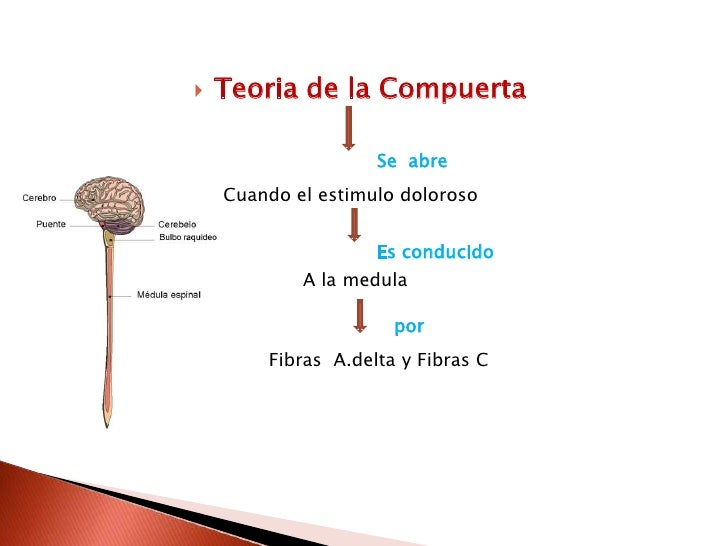 Dolor Dolor