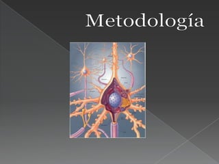 La Personalidad (Psicología Social)