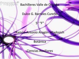 Bachilleres Valle de Orizaba Dulce G. Barrales Cureño 5° “F” Ramón Antonio Aragón Mladosich Botánica Ciencias Auxiliares 