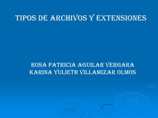 TIPOS DE ARCHIVOS Y EXTENSIONES ROSA PATRICIA AGUILAR VERGARA KARINA YULIETH VILLAMIZAR OLMOS 