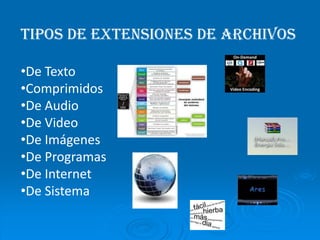 De datos: .TXT , .DOC , .XLS, Tipos de extensiones de archivosDe Texto