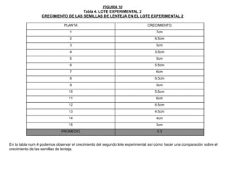 FIGURA 10Tabla 4. LOTE EXPERIMENTAL 2CRECIMIENTO DE LAS SEMILLAS DE LENTEJA EN EL LOTE EXPERIMENTAL 2En la tabla num.4 podemos observar el crecimiento del segundo lote experimental así como hacer una comparación sobre el crecimiento de las semillas de lenteja.