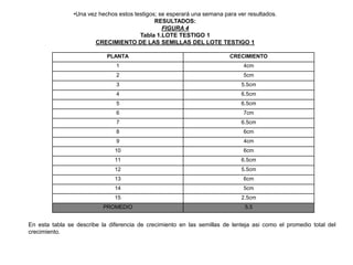Una vez hechos estos testigos; se esperará una semana para ver resultados.RESULTADOS:FIGURA 4Tabla 1.LOTE TESTIGO 1 CRECIMIENTO DE LAS SEMILLAS DEL LOTE TESTIGO 1En esta tabla se describe la diferencia de crecimiento en las semillas de lenteja asi como el promedio total del crecimiento.
