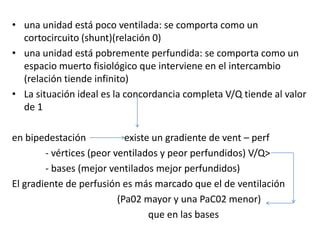 • una unidad está poco ventilada: se comporta como un
  cortocircuito (shunt)(relación 0)
• una unidad está pobremente perfundida: se comporta como un
  espacio muerto fisiológico que interviene en el intercambio
  (relación tiende infinito)
• La situación ideal es la concordancia completa V/Q tiende al valor
  de 1

en bipedestación            existe un gradiente de vent – perf
        - vértices (peor ventilados y peor perfundidos) V/Q>
        - bases (mejor ventilados mejor perfundidos)
El gradiente de perfusión es más marcado que el de ventilación
                          (Pa02 mayor y una PaC02 menor)
                                  que en las bases
 
