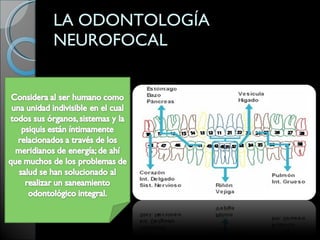 LA ODONTOLOGÍA NEUROFOCAL 