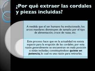 ¿Por qué extraer las cordales y piezas incluidas?  