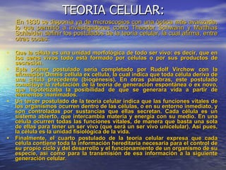 TEORIA CELULAR: En 1830 se disponía ya de microscopios con una óptica más avanzada, lo que permitió a investigadores como Theodor Schwann y Matthias Schleiden definir los postulados de la teoría celular, la cual afirma, entre otras cosas: Que la célula es una unidad morfológica de todo ser vivo: es decir, que en los seres vivos todo está formado por células o por sus productos de secreción.  Este primer postulado sería completado por Rudolf Virchow con la afirmación Omnis cellula ex cellula, la cual indica que toda célula deriva de una célula precedente (biogénesis). En otras palabras, este postulado constituye la refutación de la teoría de generación espontánea o ex novo, que hipotetizaba la posibilidad de que se generara vida a partir de elementos inanimados. Un tercer postulado de la teoría celular indica que las funciones vitales de los organismos ocurren dentro de las células, o en su entorno inmediato, y son controladas por sustancias que ellas secretan. Cada célula es un sistema abierto, que intercambia materia y energía con su medio. En una célula ocurren todas las funciones vitales, de manera que basta una sola de ellas para tener un ser vivo (que será un ser vivo unicelular). Así pues, la célula es la unidad fisiológica de la vida.  Finalmente, el cuarto postulado de la teoría celular expresa que cada célula contiene toda la información hereditaria necesaria para el control de su propio ciclo y del desarrollo y el funcionamiento de un organismo de su especie, así como para la transmisión de esa información a la siguiente generación celular . 
