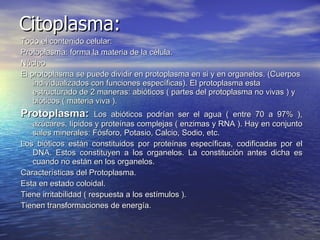 Citoplasma: Todo el contenido celular: Protoplasma: forma la materia de la célula. Núcleo El protoplasma se puede dividir en protoplasma en si y en organelos. (Cuerpos individualizados con funciones específicas). El protoplasma esta estructurado de 2 maneras: abióticos ( partes del protoplasma no vivas ) y bióticos ( materia viva ). Protoplasma:  Los abióticos podrían ser el agua ( entre 70 a 97% ), azúcares, lípidos y proteínas complejas ( enzimas y RNA ). Hay en conjunto sales minerales: Fósforo, Potasio, Calcio, Sodio, etc. Los bióticos están constituidos por proteínas específicas, codificadas por el DNA. Estos constituyen a los organelos. La constitución antes dicha es cuando no están en los organelos. Características del Protoplasma.  Esta en estado coloidal. Tiene irritabilidad ( respuesta a los estímulos ). Tienen transformaciones de energía. 