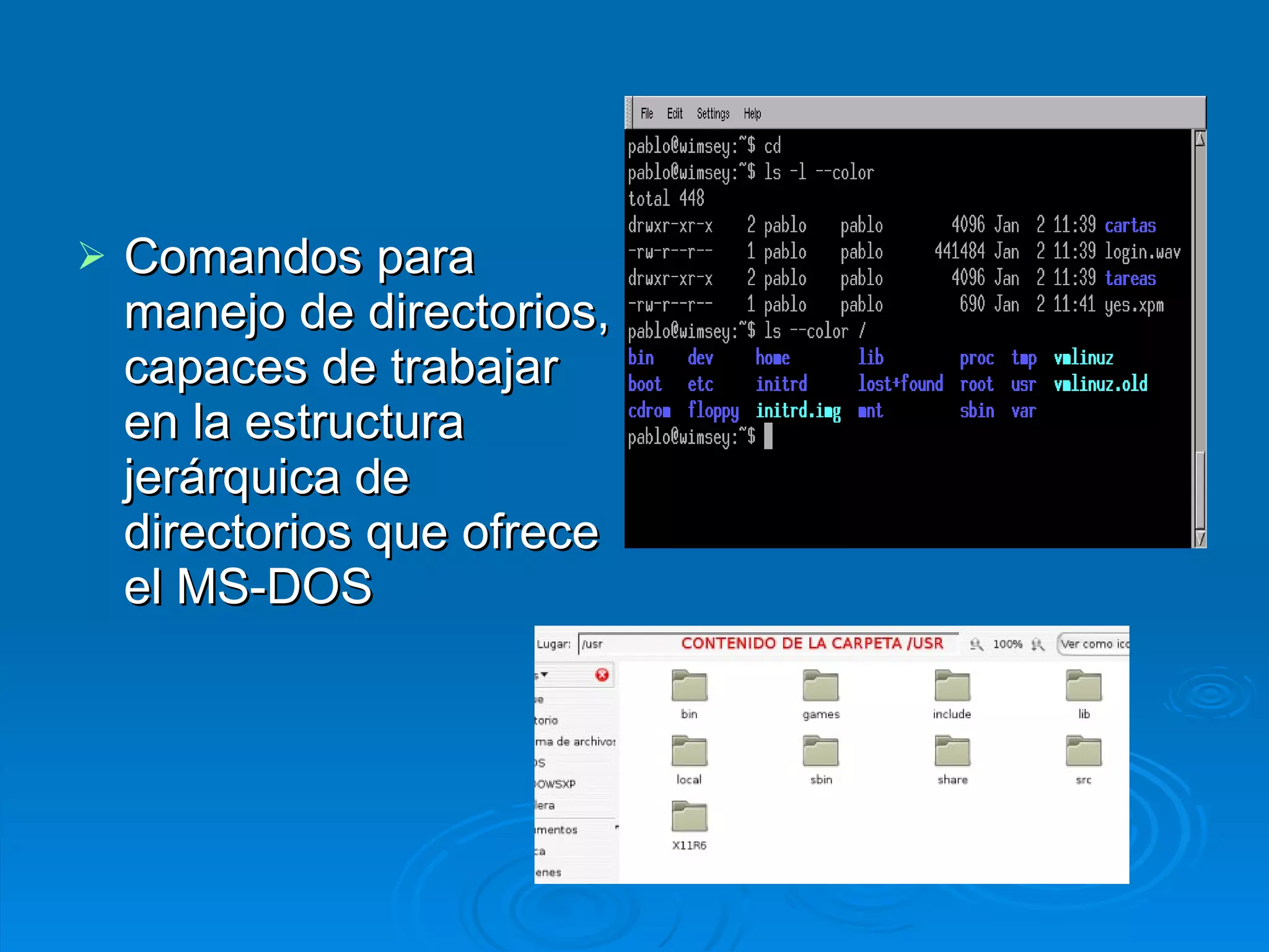 Comandos para manejo de directorios, capaces de trabajar en la estructura jerárquica de directorios que ofrece el MS-DOS 