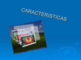 CARACTERISTICAS 
