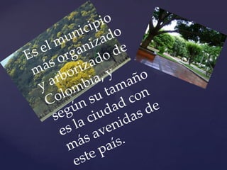 Es el municipio más organizado y arborizado de Colombia, y según su tamaño es la ciudad con más avenidas de este país.