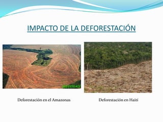 IMPACTO DE LA DEFORESTACIÓNDeforestación en el AmazonasDeforestación en Haití