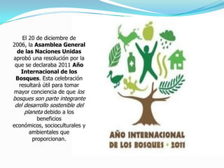 El 20 de diciembre de 2006, la Asamblea General de las Naciones Unidasaprobó una resolución por la que se declaraba 2011 Año Internacional de los Bosques. Esta celebración resultará útil para tomar mayor conciencia de que los bosques son parte integrante del desarrollo sostenible del planeta debido a los beneficios económicos, socioculturales y ambientales que proporcionan. 