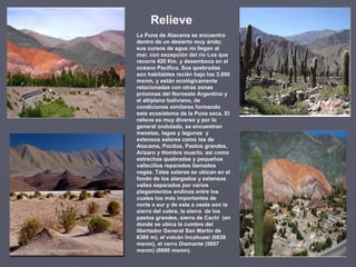 Relieve La Puna de Atacama se encuentra dentro de un desierto muy árido; sus cursos de agua no llegan al mar, con excepción del río Loa que recorre 420 Km. y desemboca en el océano Pacífico. Sus quebradas son habitables recién bajo los 3.000 msnm, y están ecológicamente relacionadas con otras zonas próximas del Noroeste Argentino y el altiplano boliviano, de condiciones similares formando este ecosistema de la Puna seca. El relieve es muy diverso y por lo general ondulado, se encuentran mesetas, lagos y lagunas  y extensos salares como los de Atacama, Pocitos, Pastos grandes, Arizaro y Hombre muerto, así como estrechas quebradas y pequeños vallecillos reparados llamados vegas. Tales salares se ubican en el fondo de los alargados y extensos valles separados por varios plegamientos andinos entre los cuales los más importantes de norte a sur y de este a oeste son la sierra del cobre, la sierra  de los pastos grandes, sierra de Cachí  (en donde se ubica la cumbre del libertador General San Martín de 6380 m), el volcán Incahuasi (6638 msnm), el cerro Diamante (5857 msnm) (6600 msnm). 